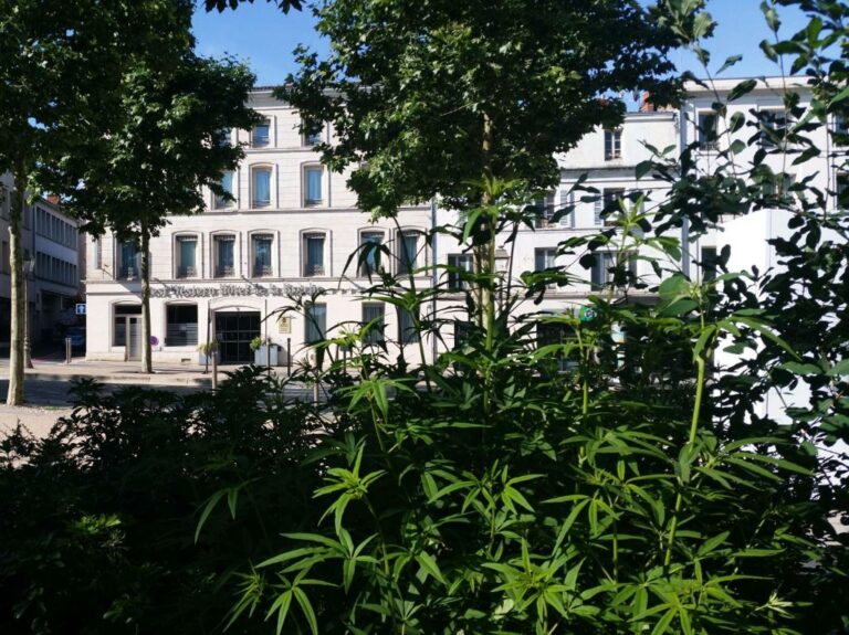 белое здание с множеством растений перед ним в отеле Best Western Hotel de la Breche в Ньоре